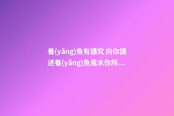 養(yǎng)魚有講究 向你講述養(yǎng)魚風水你所不知道的那些事